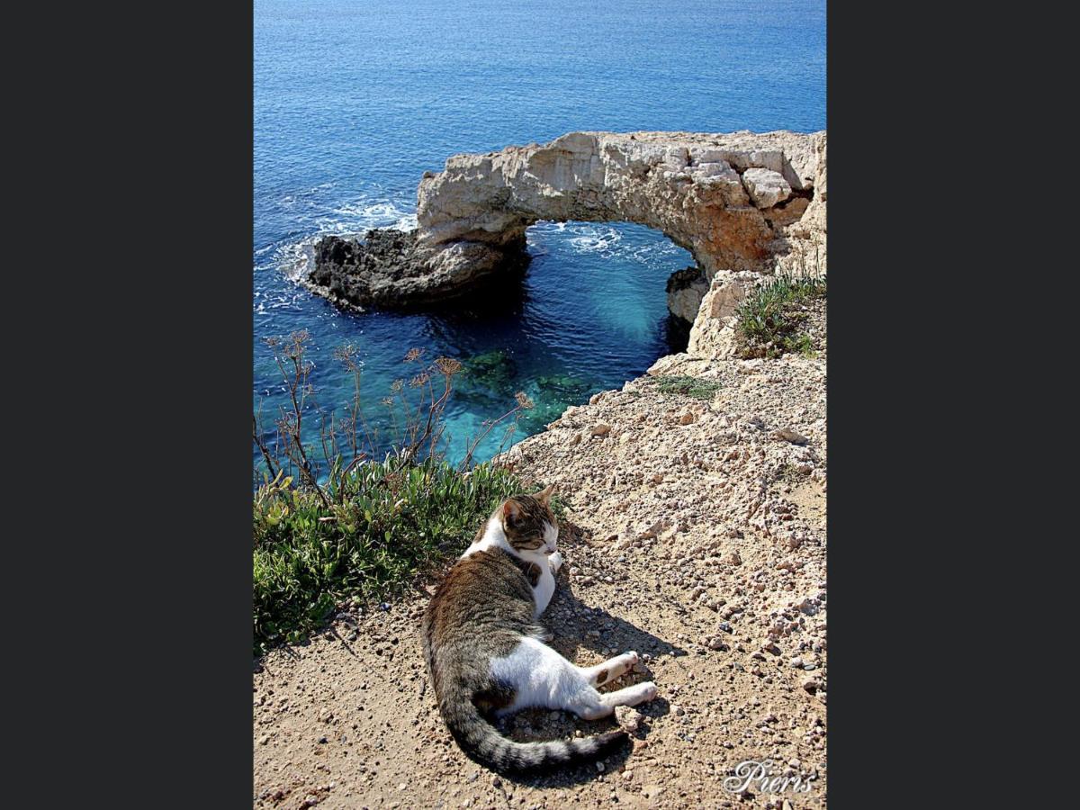 Villa Nissi Beach 28 ไอยานาปา ภายนอก รูปภาพ